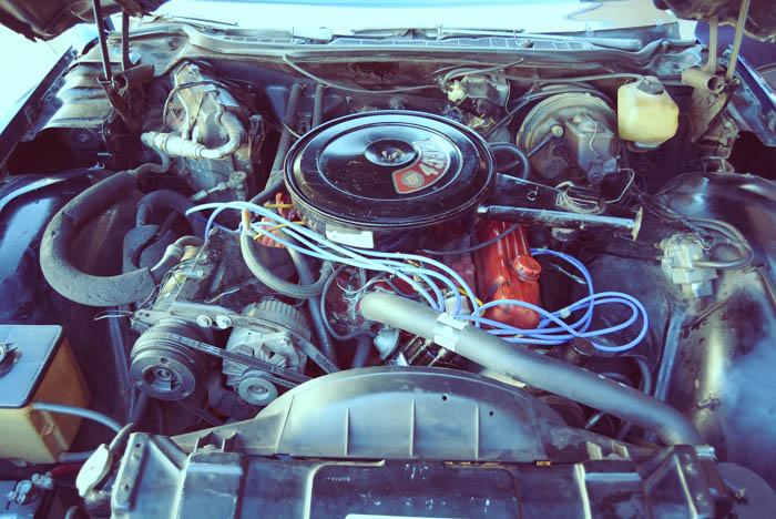 FMM Buick Riviera 029