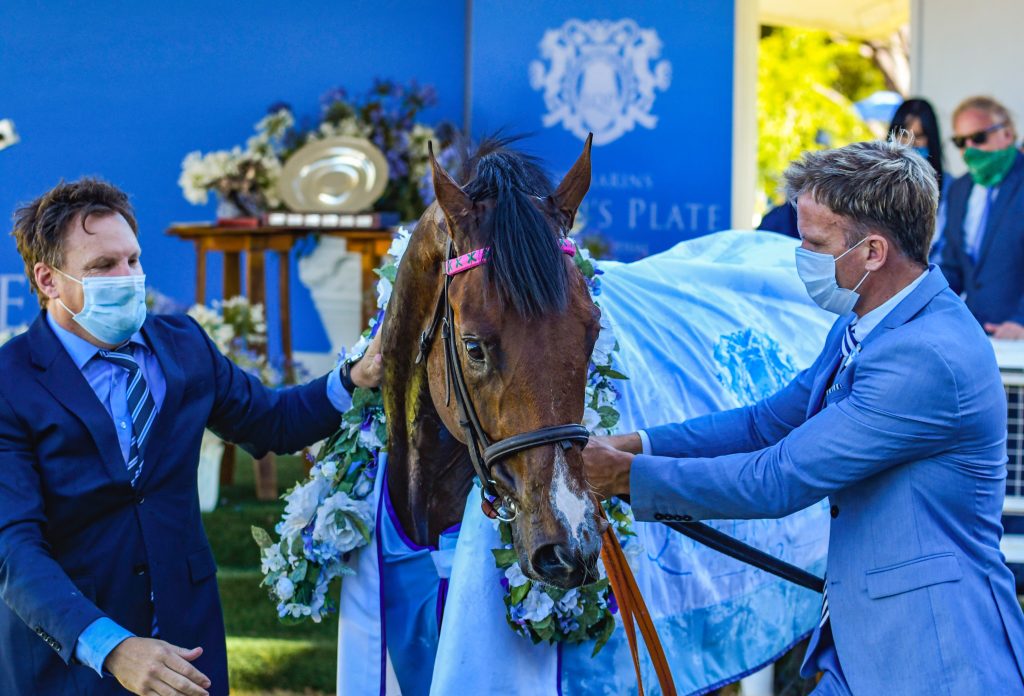 Queen's Plate Under Starters Orders Franschhoek Motor Museum